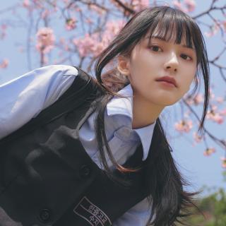 游团极品芝麻官游戏平台下载